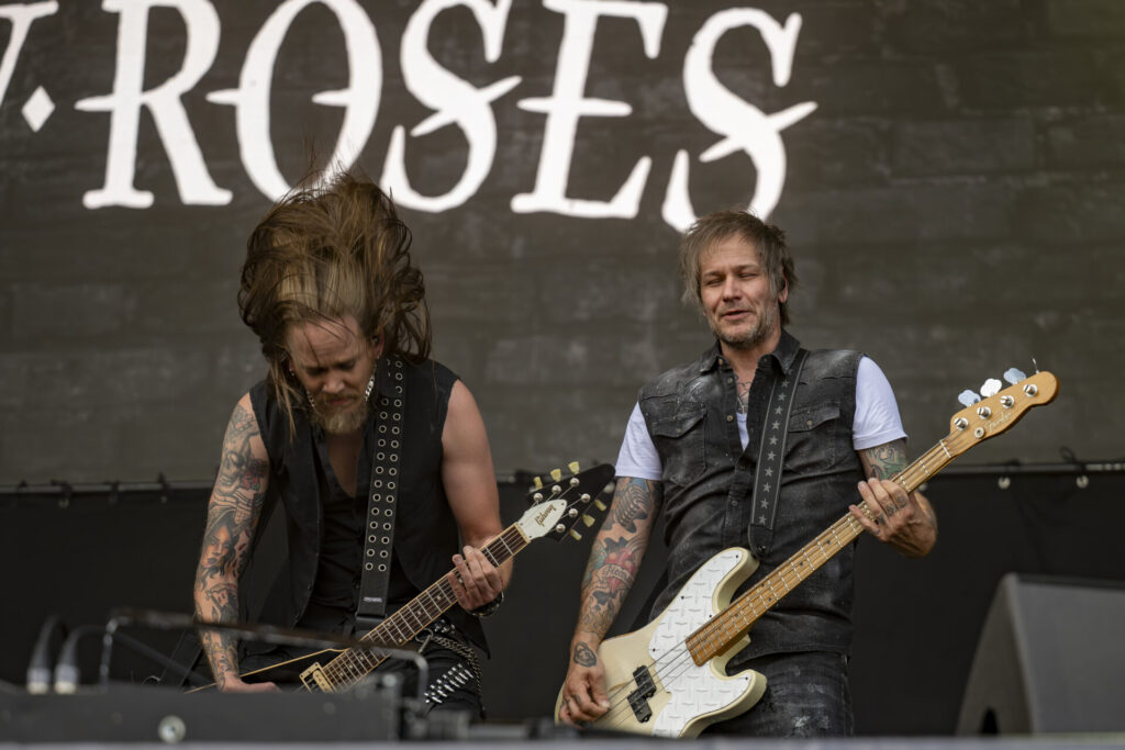 The_New_Roses_AKA_Johnsen017